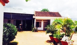 Thực hư cô gái bị bắt cóc, mổ lấy thận trên ô tô